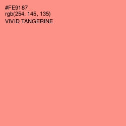 #FE9187 - Vivid Tangerine Color Image